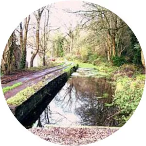 Glamorganshire Canal - 