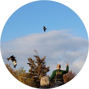 Glan-Münchweiler station