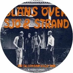 Gläns över sjö & strand