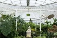 Glasgow Botanic Gardens - 