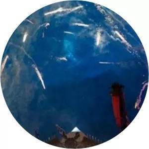 Glastonbury2014 - TV program