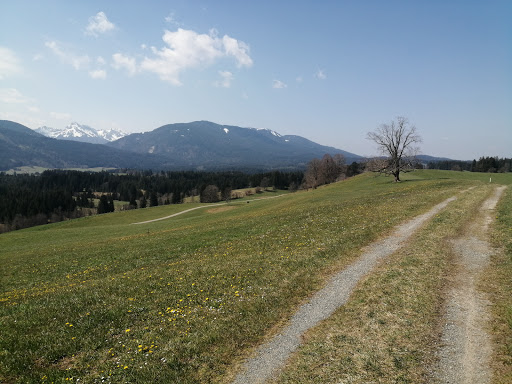Gleggmires Aussichtspunkt - Observation deck in Saulgrub, Germany