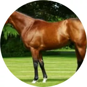Gleneagles - Horse
