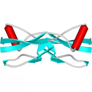 Glial cell line-derived neurotrophic factor - Protein