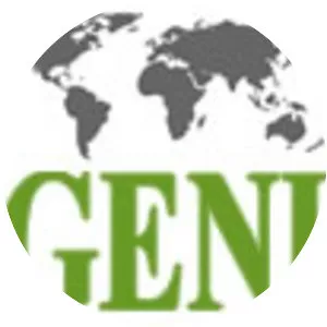 Global Energy Network Institute