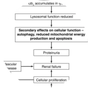 Globotriaosylceramide - 