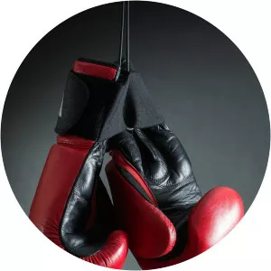 GLORY 15: Istanbul - TV program