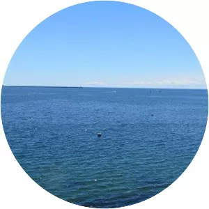 Gloucester Harbor photograph