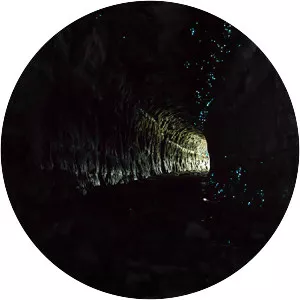 Glowworm Tunnel Road - 