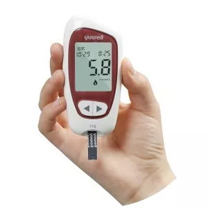 Glucose meter