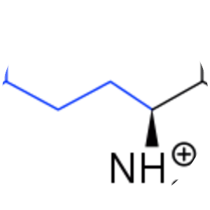 Glutamic acid - Amino acid