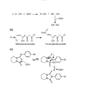 Glutathione S-transferase - Protein