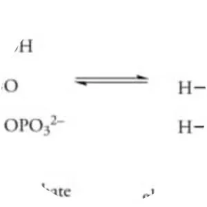 Glyceraldehyde 3-phosphate - Chemical compound