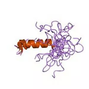 Glycine receptor, alpha 1 - Protein