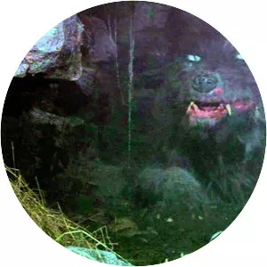 Gmork - Fictional character