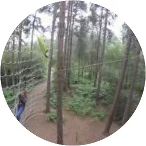 Go Ape Delamere Forest - 