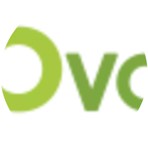 GO Voyages - Company