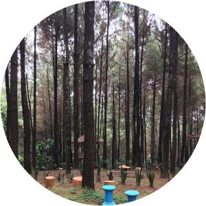 goa wanawisata sigologolo wana wisata bukit pinus wonosalam