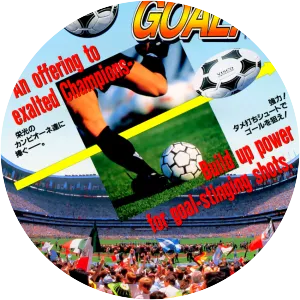Goal! Goal! Goal! - Video game