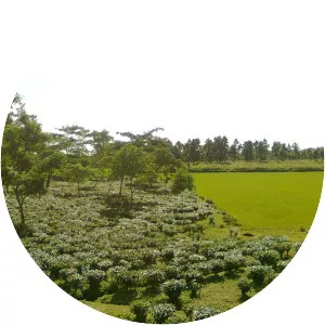 Goalpara district photograph