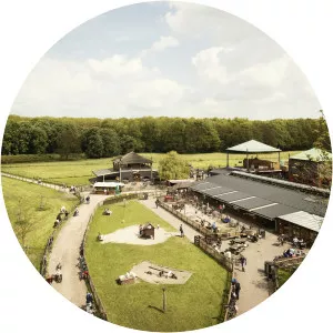 Goatfarm Ridammerhoeve