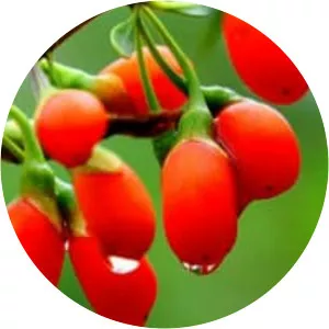 Goji - Food