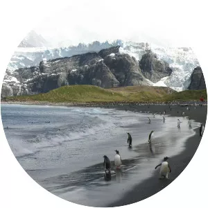 Gold Harbour - Bay in South Georgia and the South Sandwich Islands