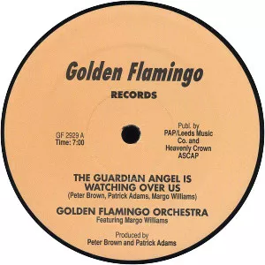 Golden Flamingo Orchestra