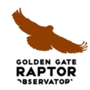 Golden Gate Raptor Observatory
