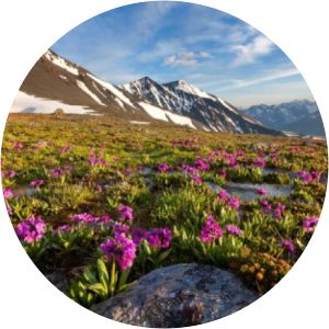 Golden Mountains of Altai - 