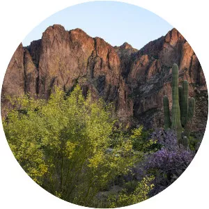 Goldfield Mountains - 