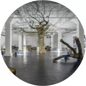 Goldin Senneby - Artist