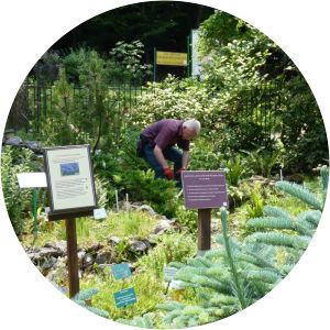 Gołubieński Botanical Garden