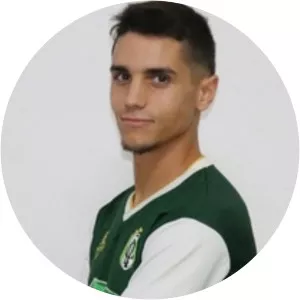 Gonçalo José Gonçalves Paulino