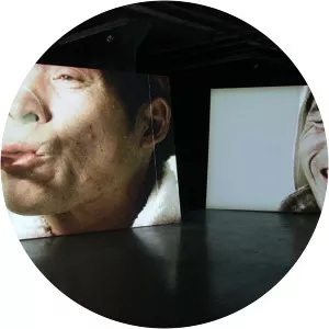 Gongxin Wang - Visual artist