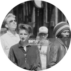 Gonnie Rietveld - Musical artist