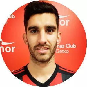 Gonzalo Llerena Bravo