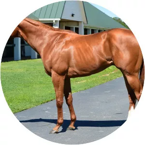 Good Magic photograph