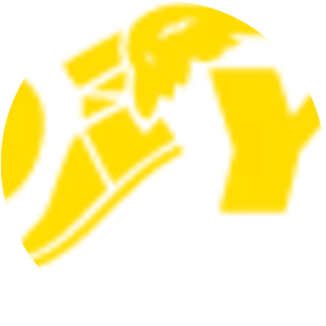 Goodyear Tire and Rubber Company - Manufacturing company