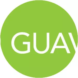 Google Guava - 