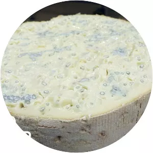 Gorgonzola