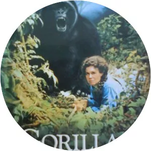 Gorillas in the Mist