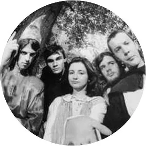 Gorky's Zygotic Mynci