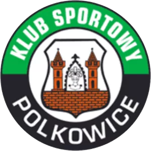 Górnik Polkowice