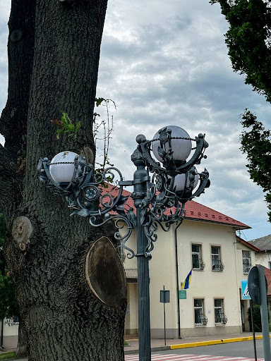 Gorodenkovskiy center of administrative services - Government office in Horodenka, Ukraine