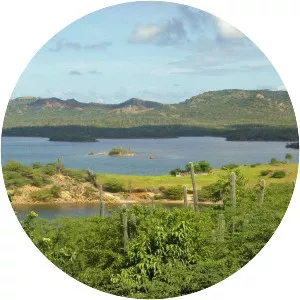 Goto Lake - Lake in Bonaire