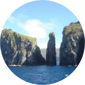 Gough and Inaccessible Islands photograph