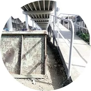 Governor Pascual railway station