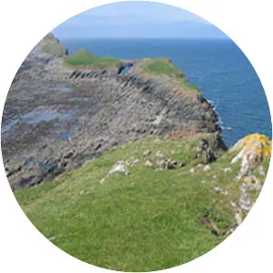 Gower and Swansea Bay Coast Path - 