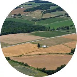 Grace L. Drake - Politician